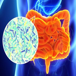 Gut Healing for Auto-Immune Disease Management Freedom Age