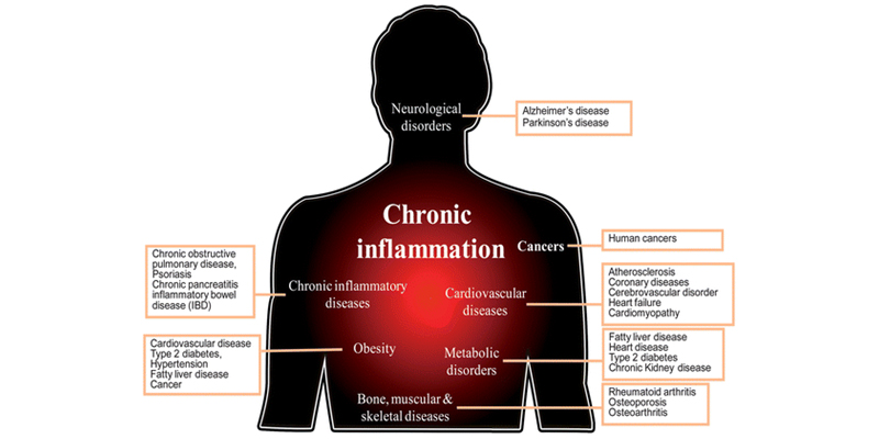 Freedom Age : The Control of Silent Inflammation