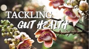 Freedom Age - Sugar-craving, Anxiety, Weight gain, Bloating....this could be parasite infestation!