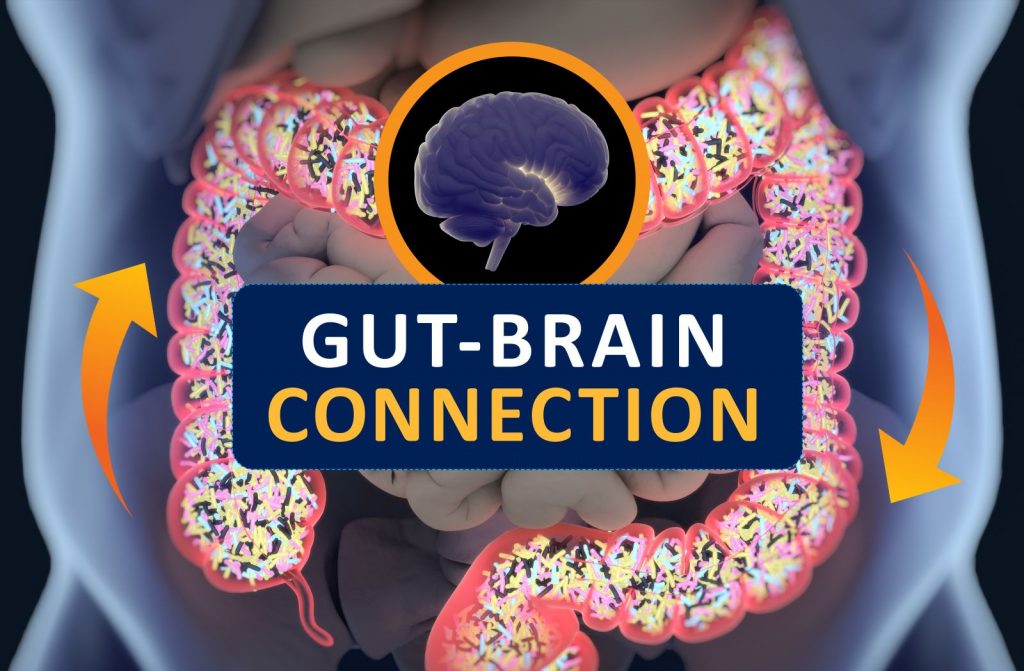 Gut brain connection is real
