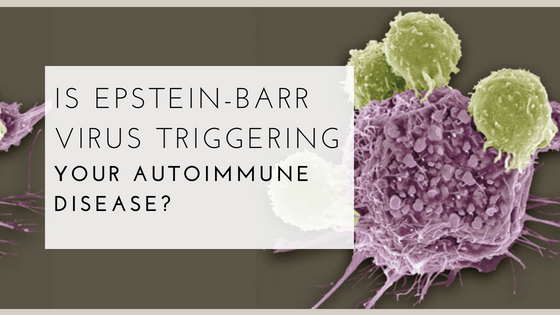 Epstein barr virus and autoimmunity connection