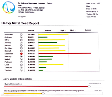 Pic 1: Heavy metal test report