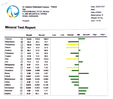 Pic 2: Mineral test report